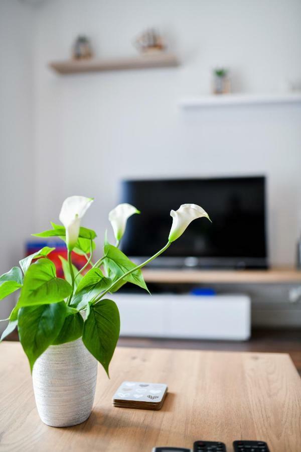 Serenity Apartment Zadar Bagian luar foto